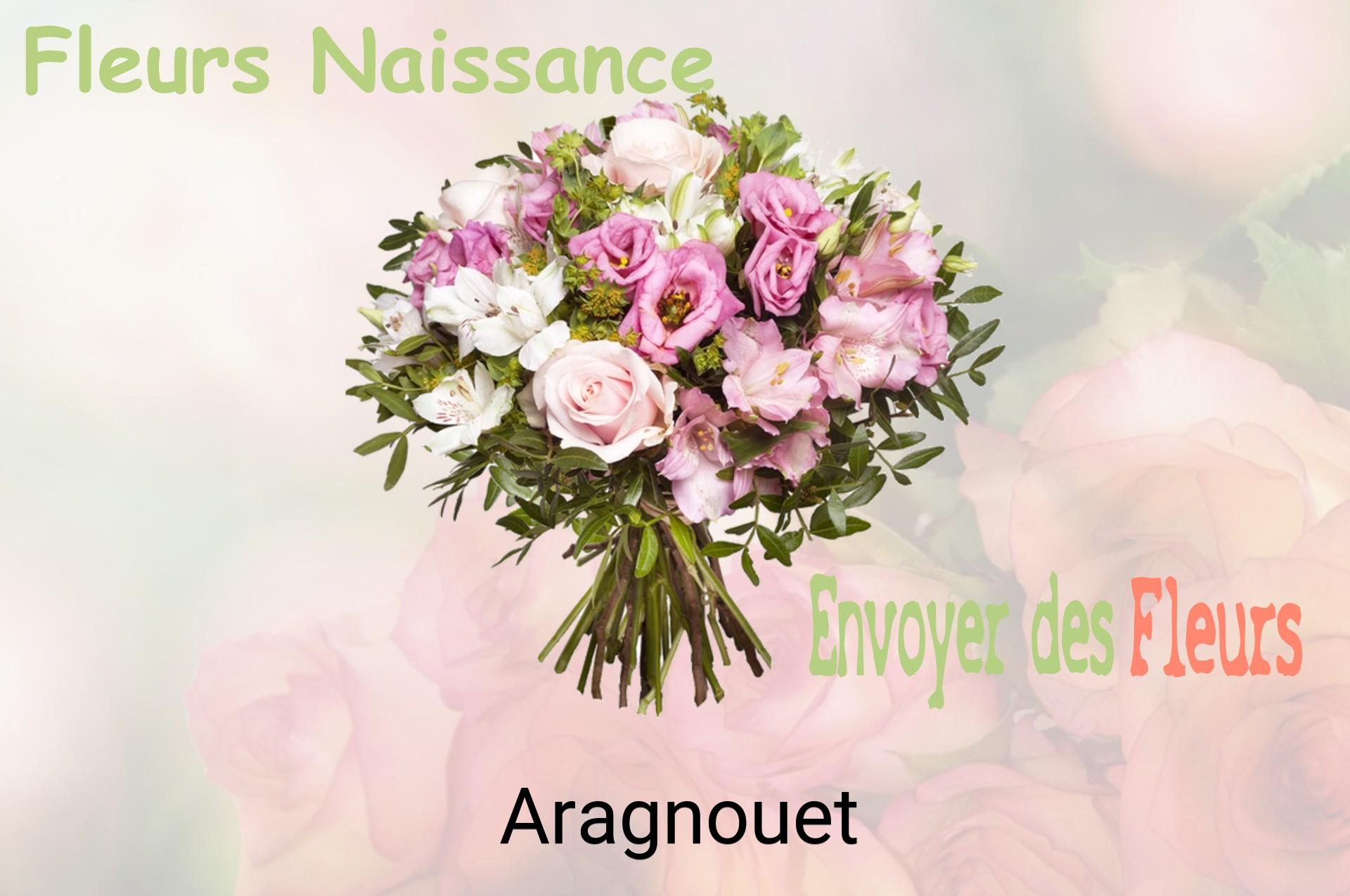 Bouquet de fleurs de naissance livré à Aragnouet