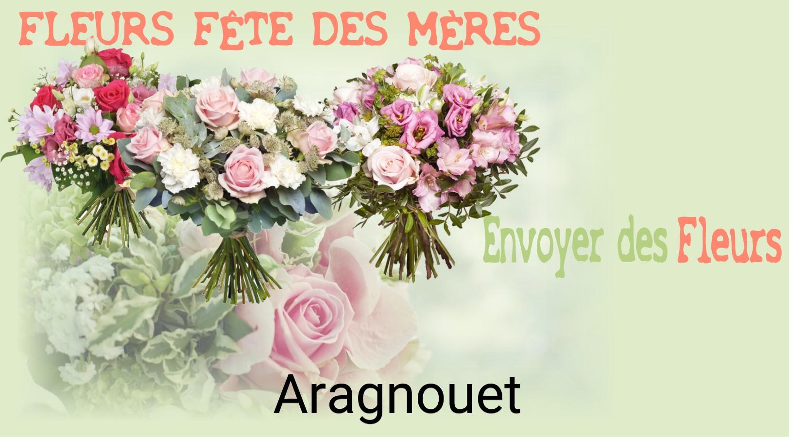 Bouquet de Fête des Mères livré à Aragnouet